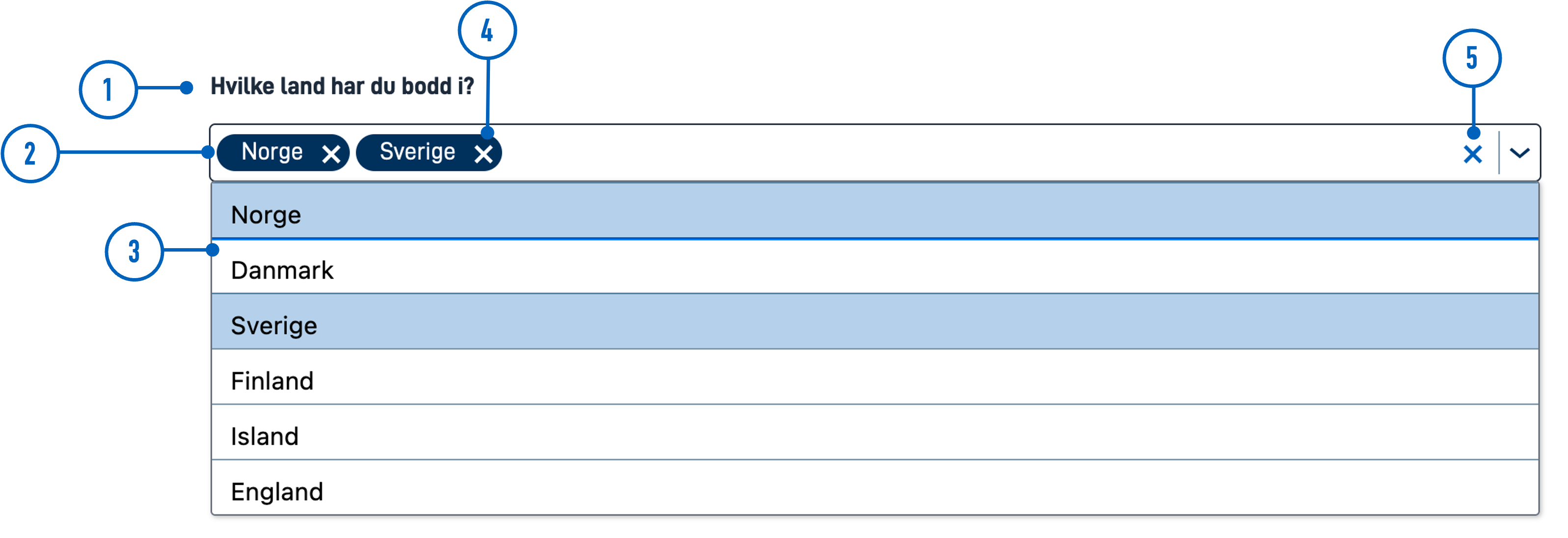 Anatomy MultipleSelect